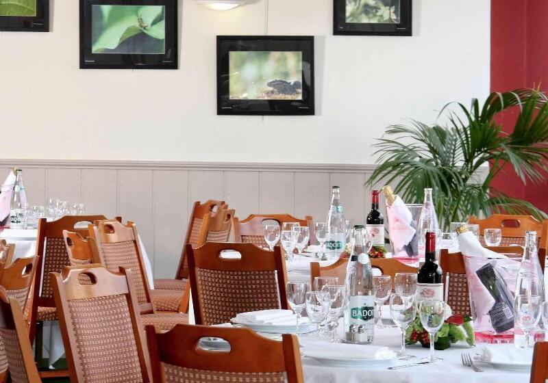 هتل Mercure Limoges Centre