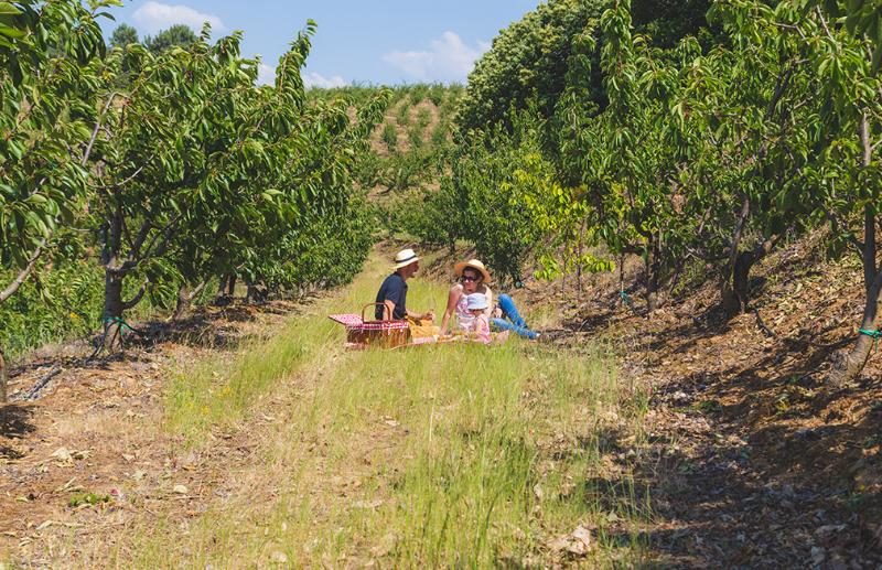 هتل Quinta Da Barroca Douro Valley