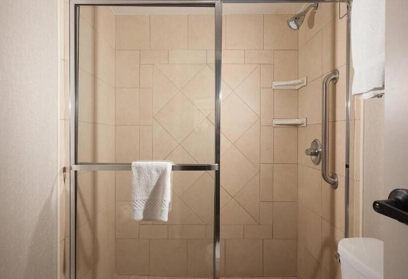 Fotos del hotel Springhill Suites Orlando Airport:  18