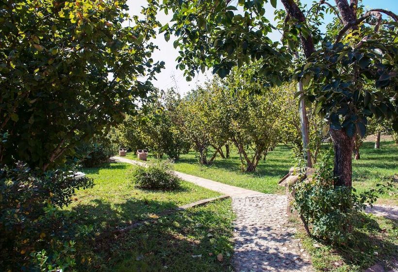 ホテル Villa Rizzo Resort And Spa