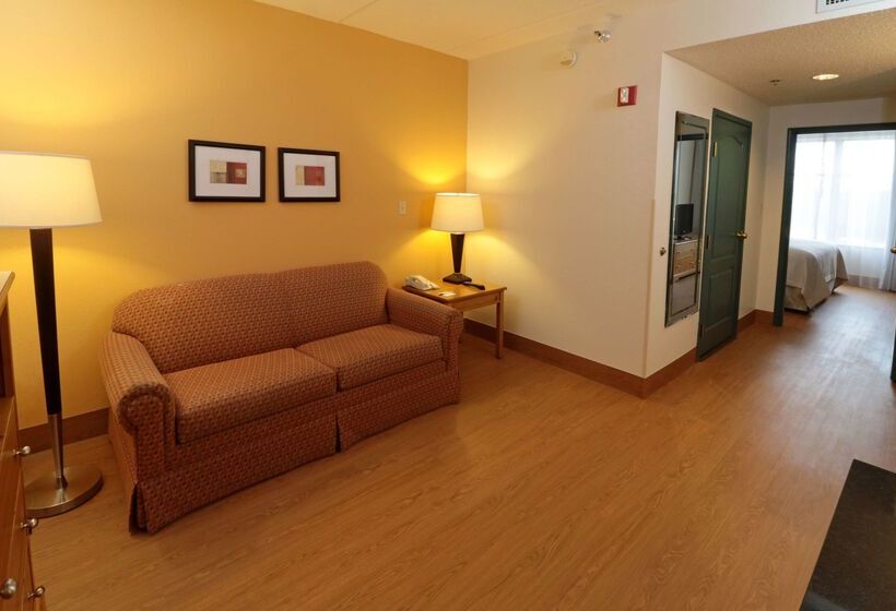 هتل Wyndham Garden Mcallen At La Plaza Mall