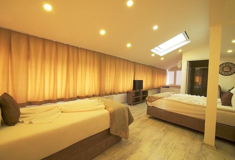 Fotos del hotel Zeugma  Sultanahmet:  10