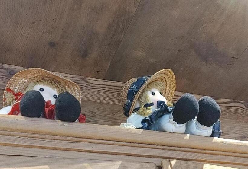 B&b A Ceda Toa