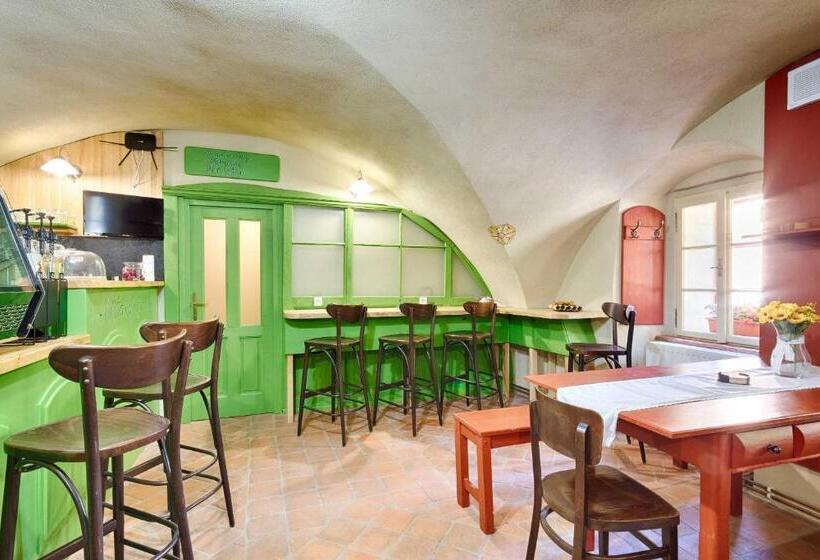 پانسیون Měšťanský Dům   Kulturní Památka Mlýnská 119