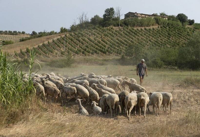استراحتگاه Villa Petriolo