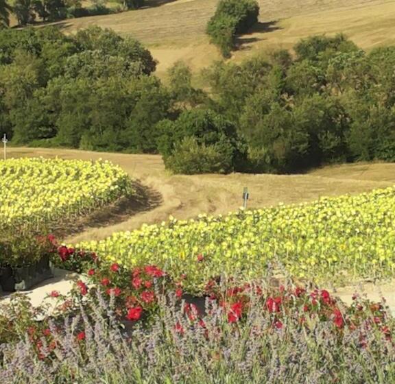 هتل Agriturismo Tenuta Belvedere