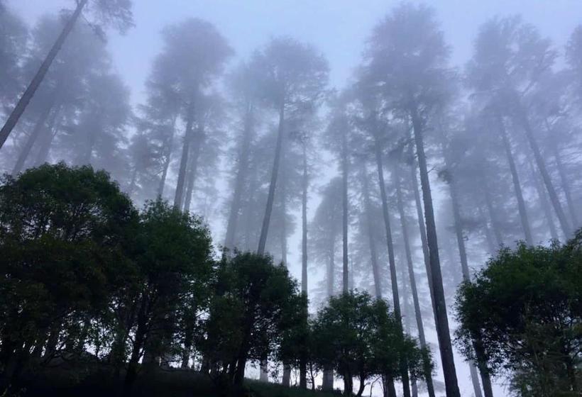 בית מלון כפרי Madhuban Sarovar Portico Mussoorie