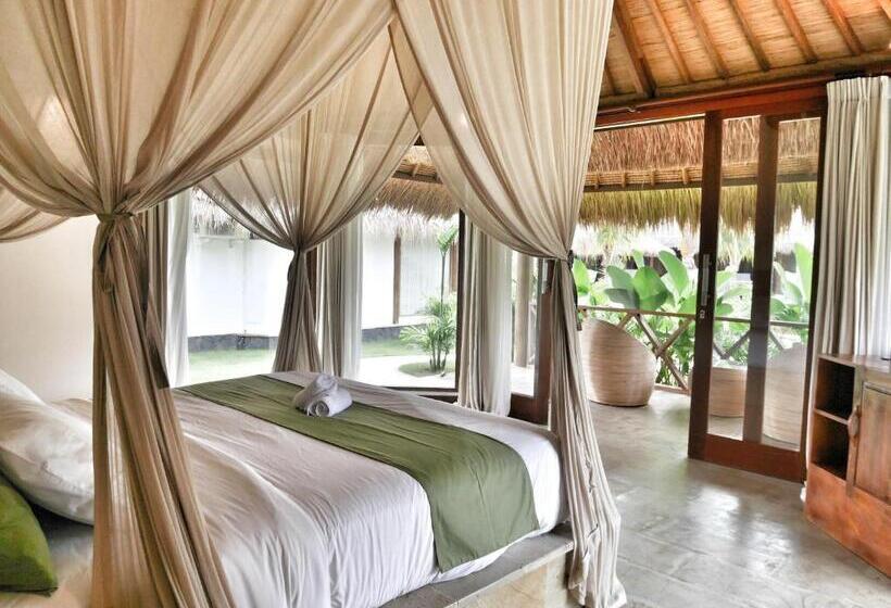 호텔 Emocean Beach Boutique Dive Resort