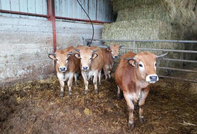 住宿加早餐  Casteljosse   Nature Calme Et Sérénité