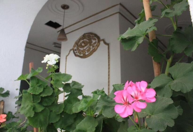 Fotos del hotel Casa De La Luna:  16 Fotos del hotel Casa De La Luna:  16