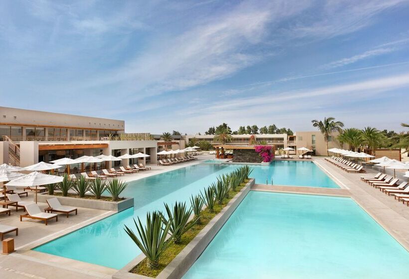 فندق Doubletree By Hilton Resort Peru Paracas