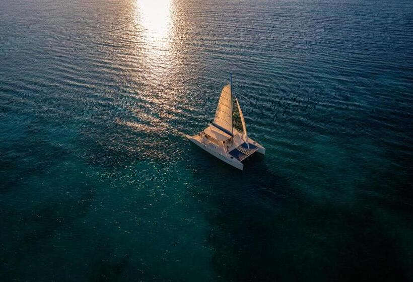 هتل El Dorado Maroma Catamarán, Cenote & More Inclusive