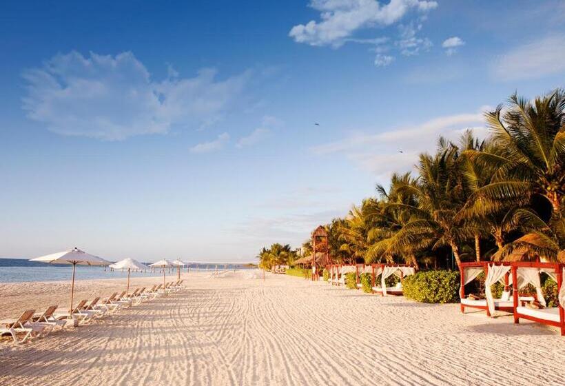 هتل El Dorado Maroma Catamarán, Cenote & More Inclusive
