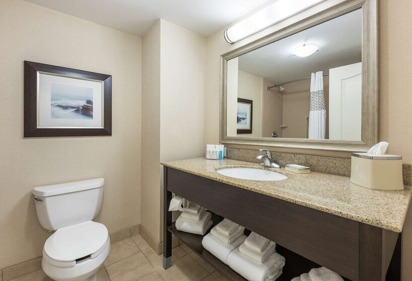 هتل Hampton Inn & Suites By Hilton Moncton