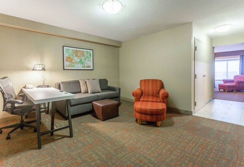 Отель Hilton Garden Inn Chicago/tinley Park