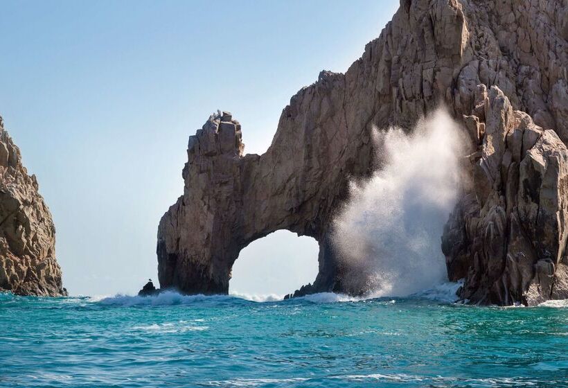 Fotos del hotel Hyatt Ziva Los Cabos  All Inclusive:  36