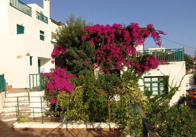 Fotos del hotel Amazones Kalimera Village:  45