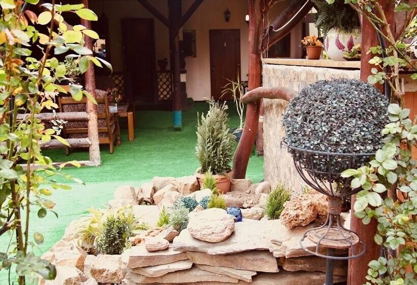 בית מלון כפרי Pensiunea Venus