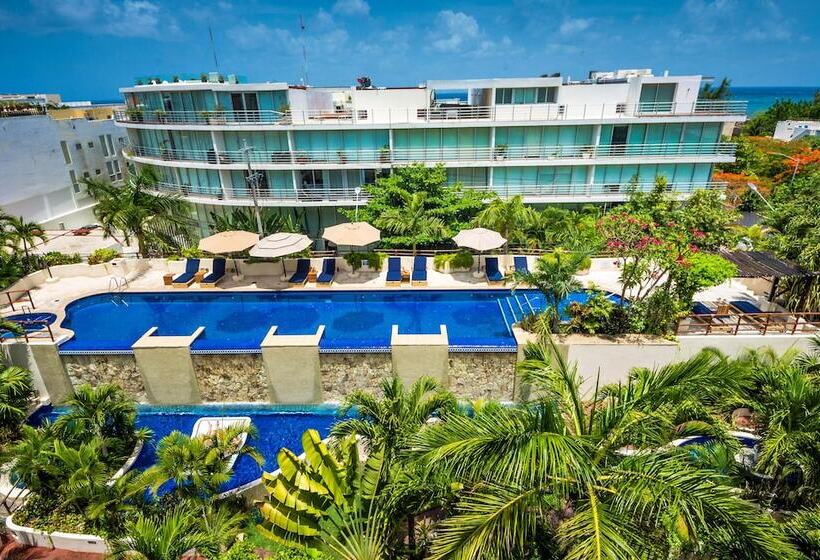 Fotos del hotel Porto Playa Condo Hotel And Beach Club:  4