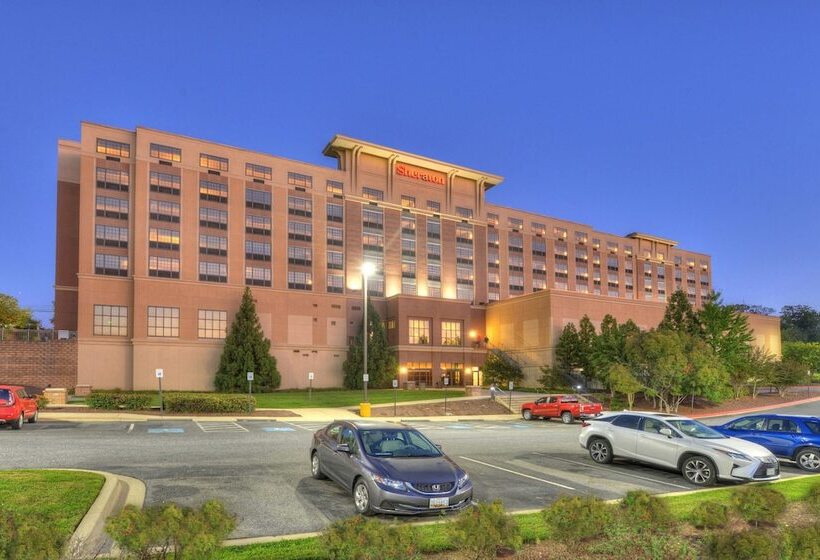 Hotel Sheraton Baltimore Washington Airport   Bwi