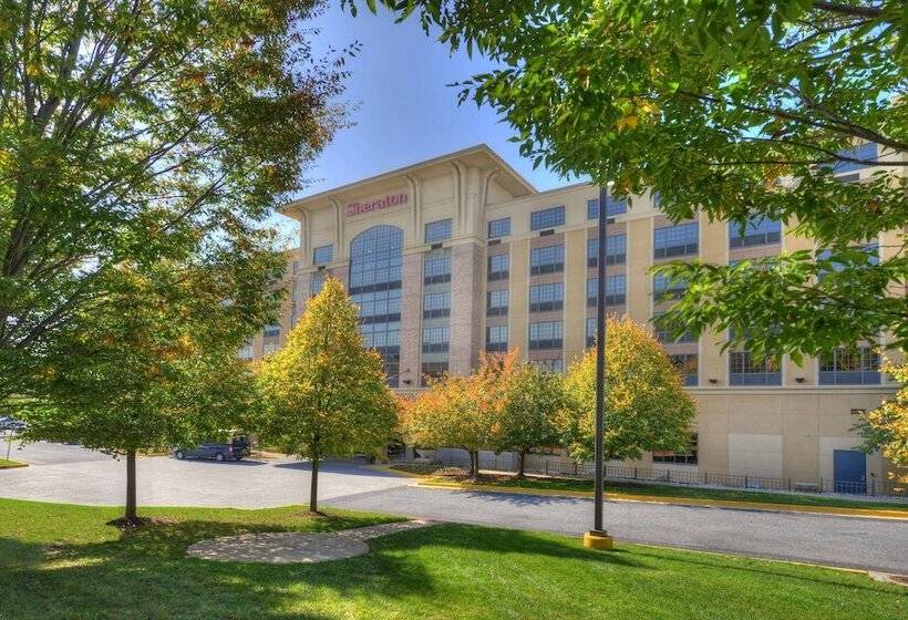 Hotel Sheraton Baltimore Washington Airport   Bwi