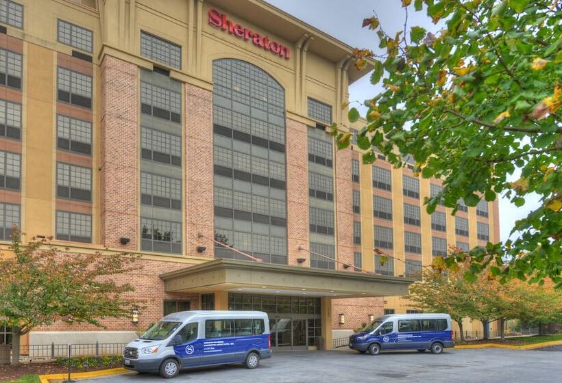 Hotel Sheraton Baltimore Washington Airport   Bwi