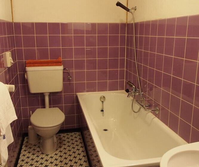 בית מלון כפרי Simmental