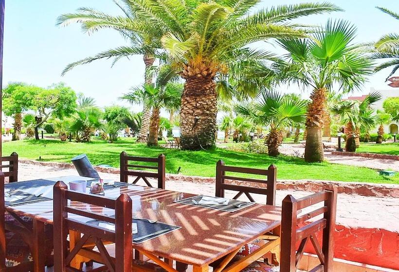 فندق Tropitel Dahab Oasis