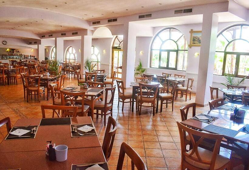 Fotos del hotel Tropitel Dahab Oasis:  6