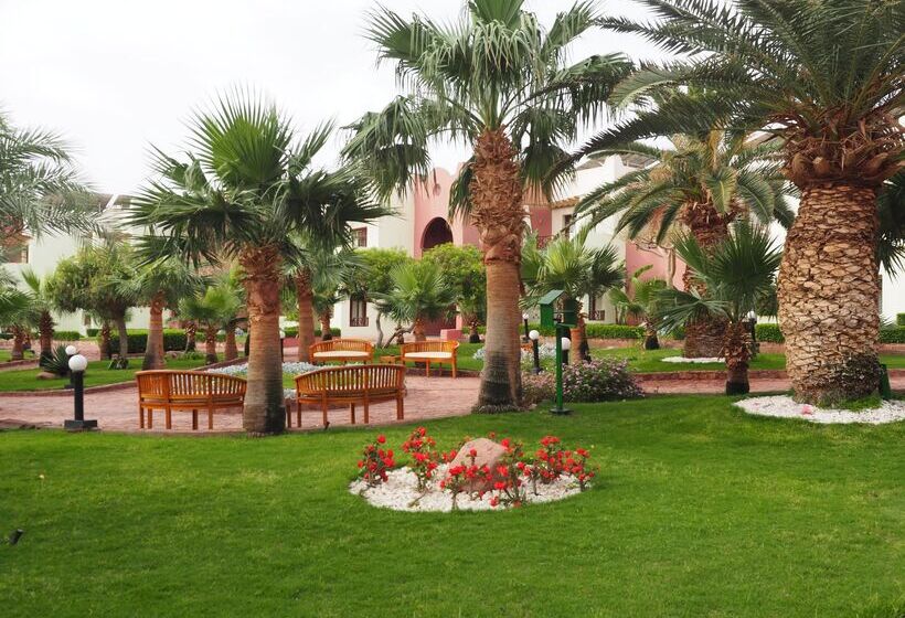 Fotos del hotel Tropitel Dahab Oasis:  8