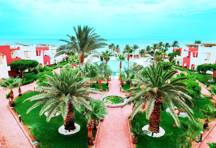 Fotos del hotel Tropitel Dahab Oasis:  25