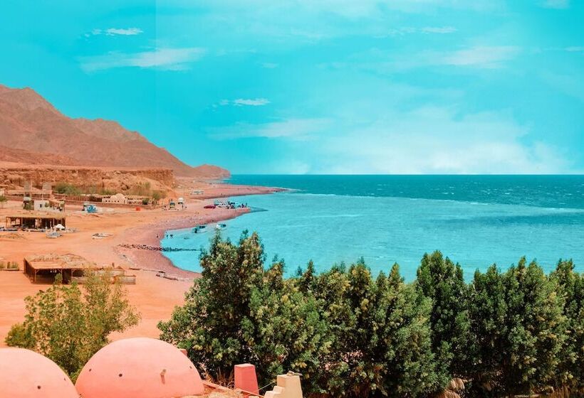 Fotos del hotel Tropitel Dahab Oasis:  51