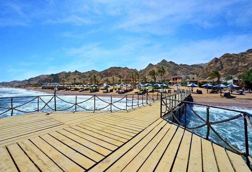 Fotos del hotel Tropitel Dahab Oasis:  54