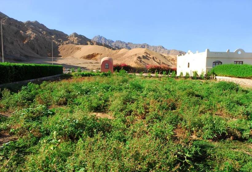 Fotos del hotel Tropitel Dahab Oasis:  56