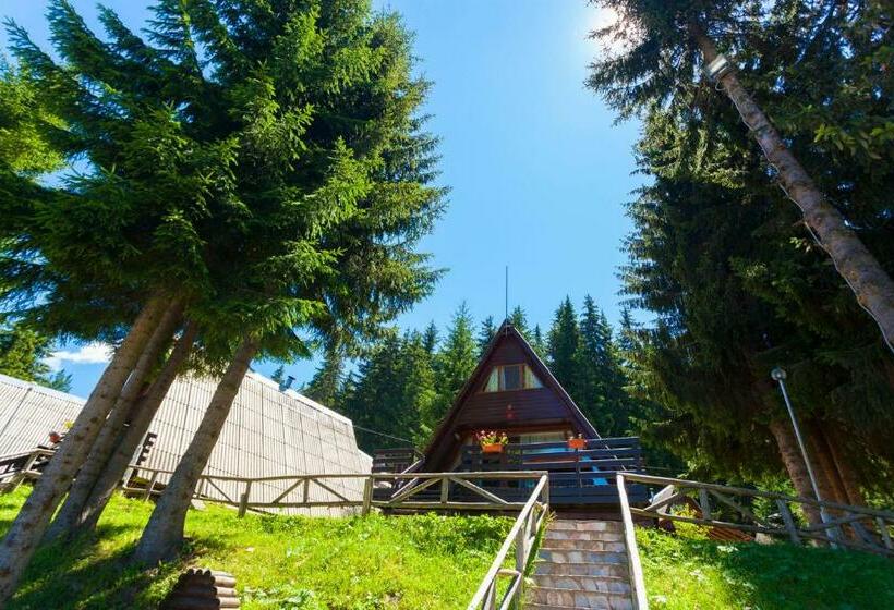 استراحتگاه Romantica Forest Guest House