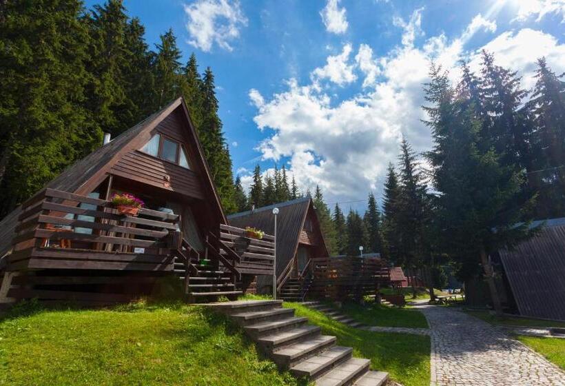 استراحتگاه Romantica Forest Guest House