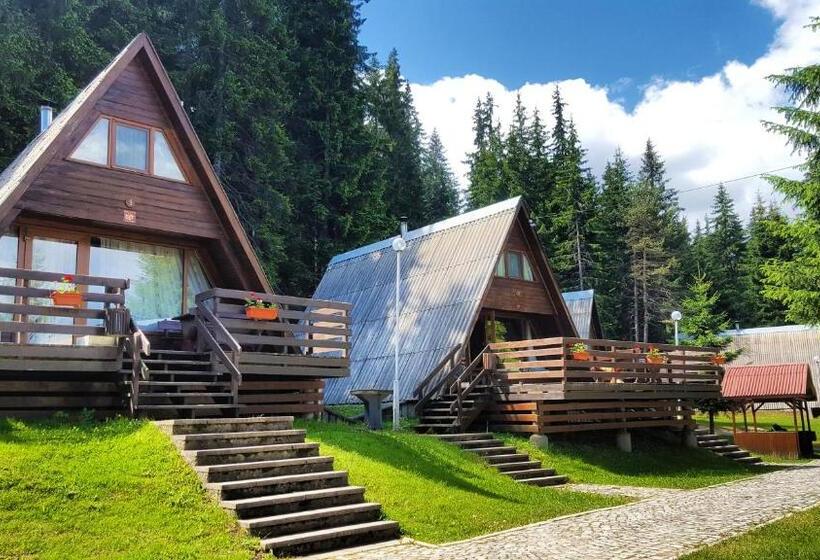 استراحتگاه Romantica Forest Guest House