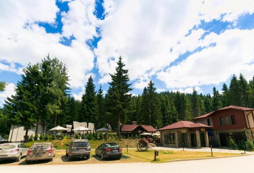 استراحتگاه Romantica Forest Guest House