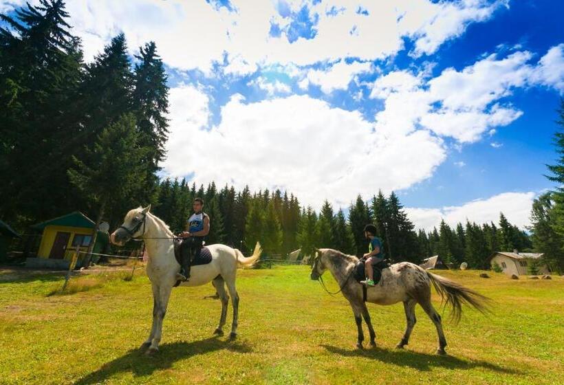 استراحتگاه Romantica Forest Guest House