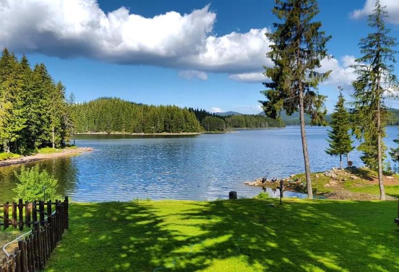استراحتگاه Romantica Forest Guest House