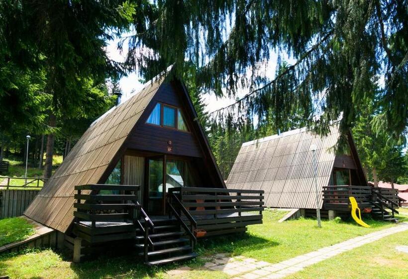 استراحتگاه Romantica Forest Guest House