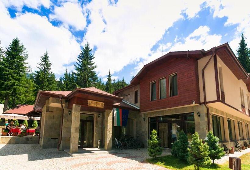 استراحتگاه Romantica Forest Guest House