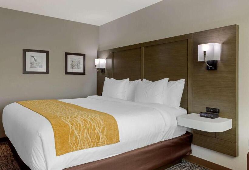 هتل Comfort Inn