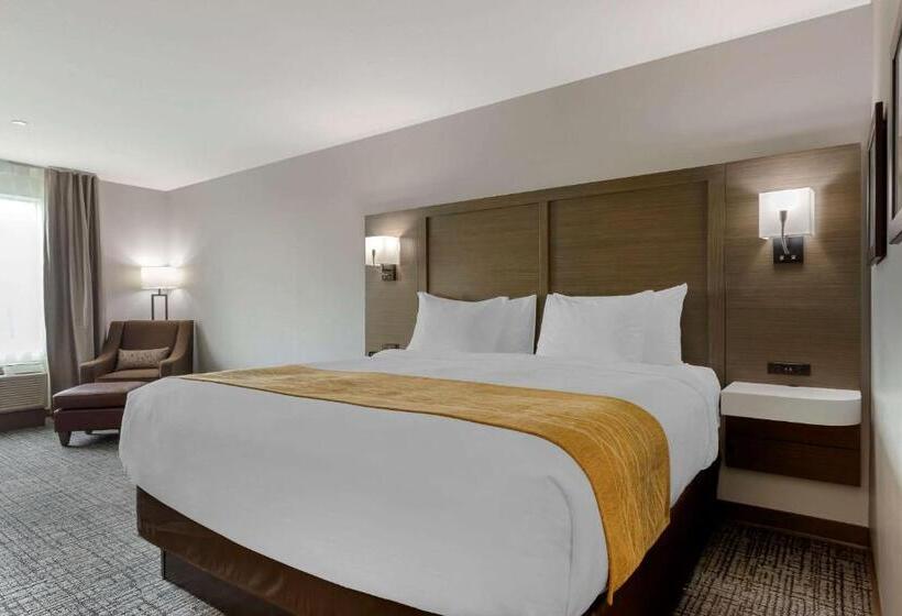 هتل Comfort Inn