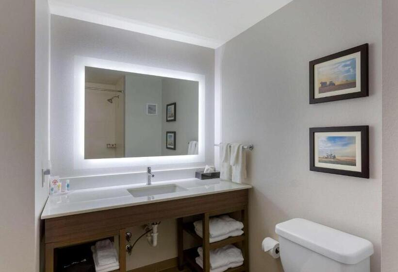 هتل Comfort Inn