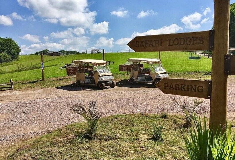 Luxury Safari Lodge Surrounded By Deer!!  Roe