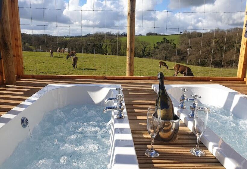 Luxury Safari Lodge Surrounded By Deer!!  Roe
