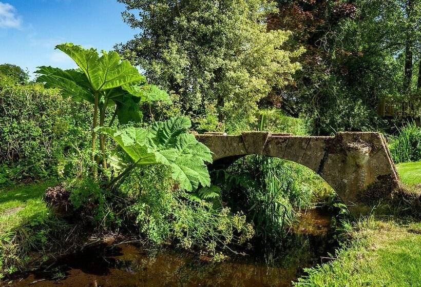 Weeke Brook   Quintessential Thatched Luxury Devon Cottage