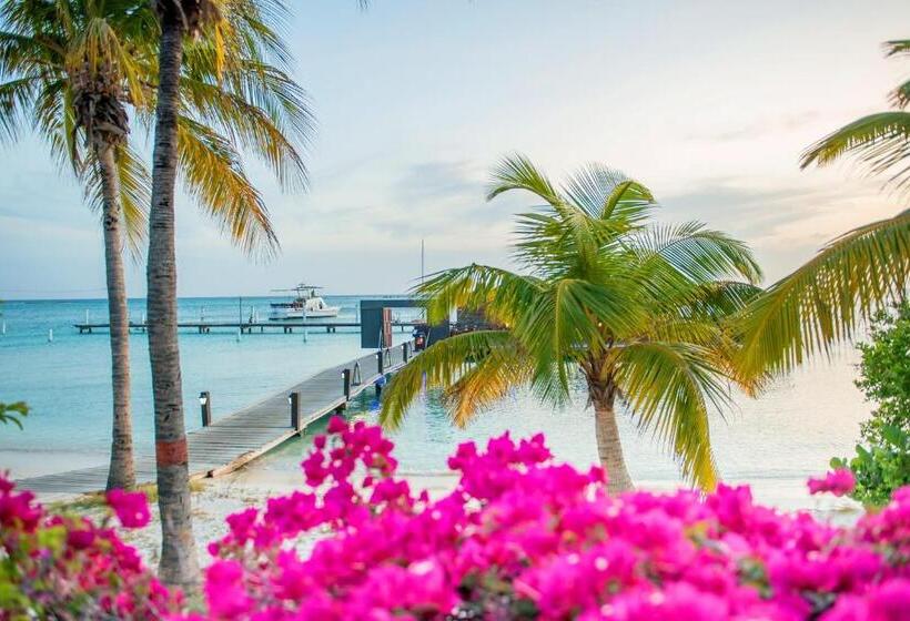 هتل Aruba Surfside Marina