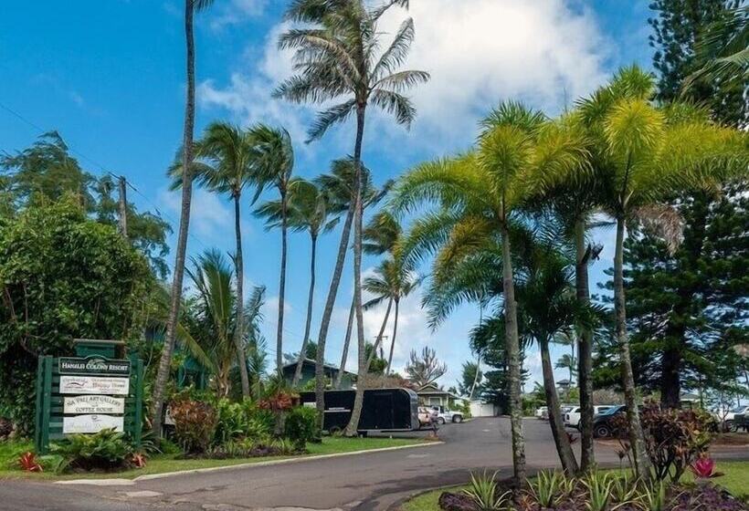 בית מלון כפרי Hanalei Colony Resort F3 2 Bedroom Condo
